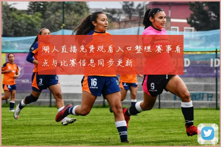 湖人直播免费观看入口整理 赛事看点与比赛信息同步更新