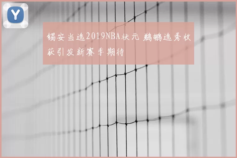 锡安当选2019NBA状元 鹈鹕选秀收获引发新赛季期待