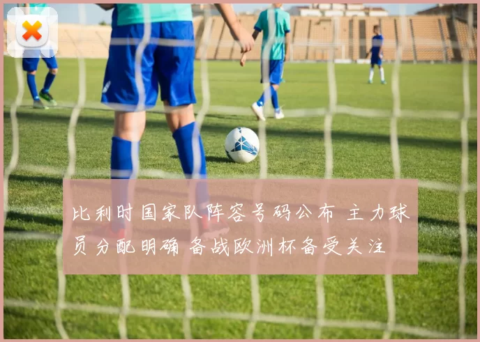 比利时国家队阵容号码公布 主力球员分配明确 备战欧洲杯备受关注