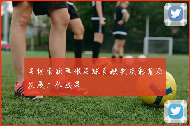 足协荣获草根足球贡献奖表彰基层发展工作成果