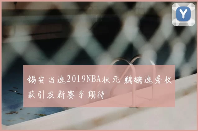锡安当选2019NBA状元 鹈鹕选秀收获引发新赛季期待