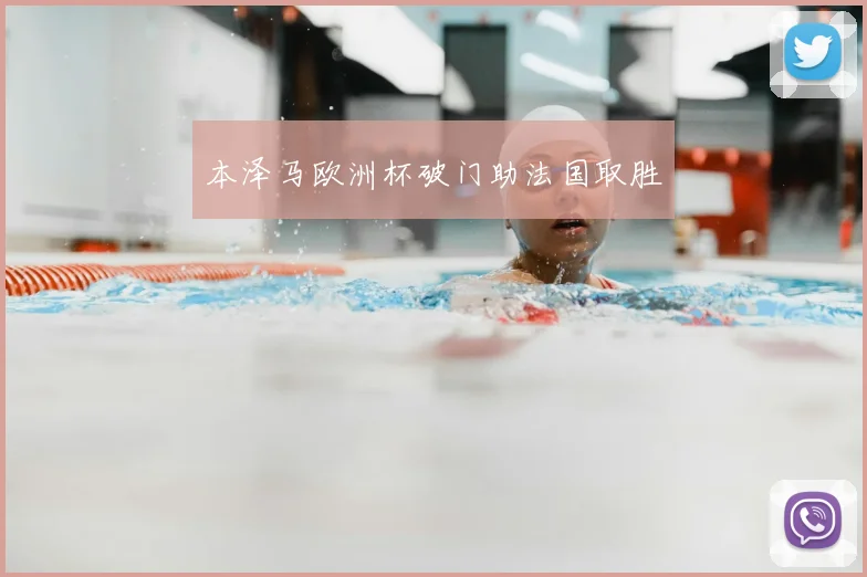 本泽马欧洲杯破门助法国取胜