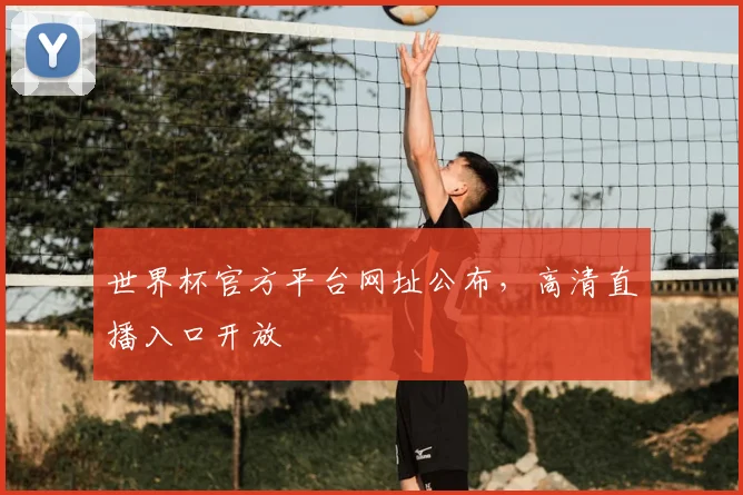 世界杯官方平台网址公布,高清直播入口开放