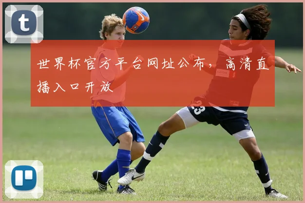 世界杯官方平台网址公布,高清直播入口开放