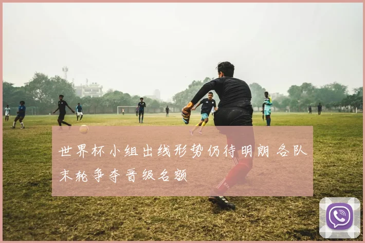 世界杯小组出线形势仍待明朗 各队末轮争夺晋级名额