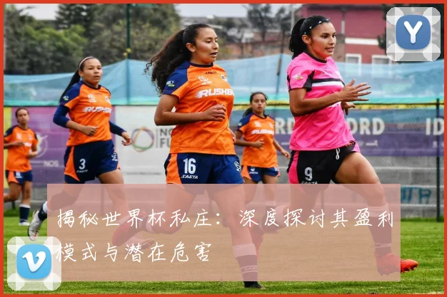 揭秘世界杯私庄:深度探讨其盈利模式与潜在危害