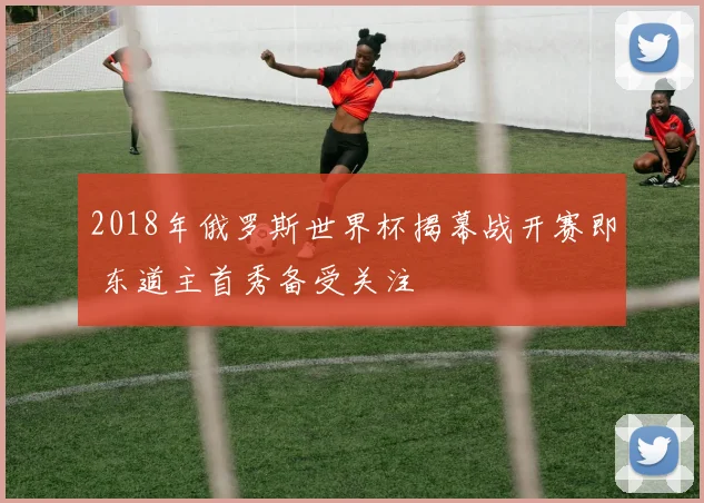 2018年俄罗斯世界杯揭幕战开赛即 东道主首秀备受关注