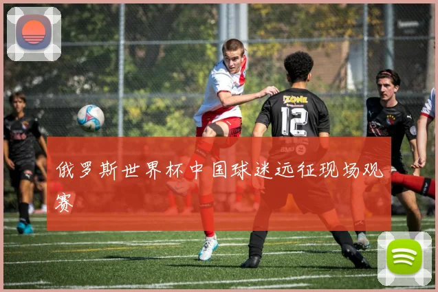俄罗斯世界杯中国球迷远征现场观赛