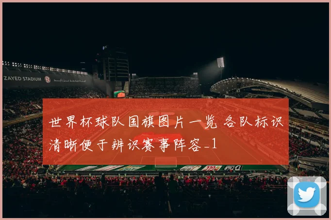 世界杯球队国旗图片一览 各队标识清晰便于辨识赛事阵容_1